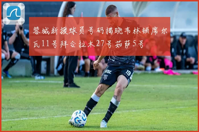 蓉城新援球员号码揭晓韦林顿席尔瓦11号拜合拉木27号茹萨5号